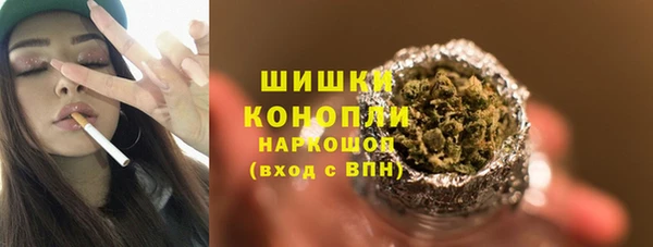 гашик Няндома