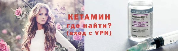 гашик Няндома