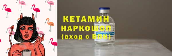 гашик Няндома