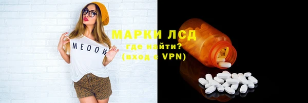 гашик Няндома