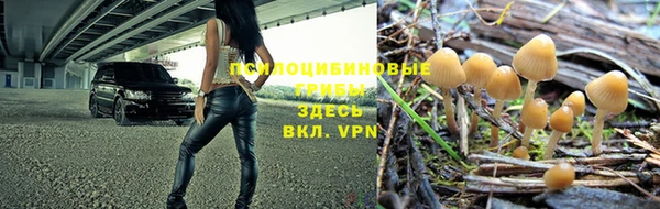 скорость mdpv Нязепетровск