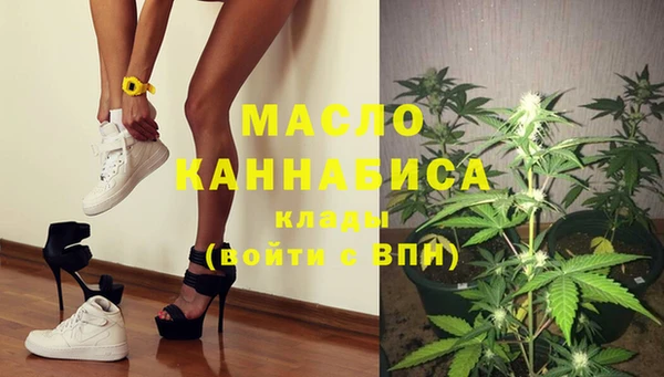 гашик Няндома
