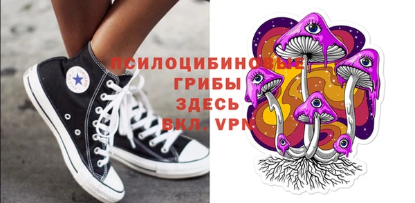 гашик Няндома
